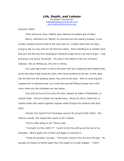 Life, Death, and Lobster