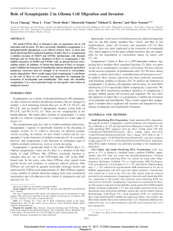 Role of Synaptojanin 2 in Glioma Cell Migration