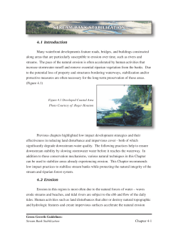 streAm BAnk stABilizAtion - Georgia`s Coastal Resources Division