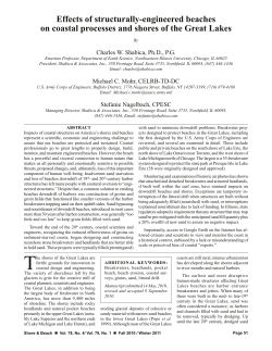 Effects of structurally-engineered beaches on coastal processes and