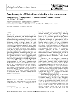 Genetic analysis of X-linked hybrid sterility in the house mouse