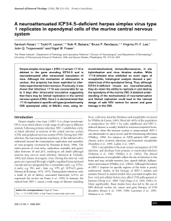 A neuroattenuated ICP34.5-deficient herpes simplex virus type 1