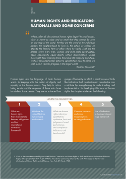human rights and indicators: rationale and some concerns