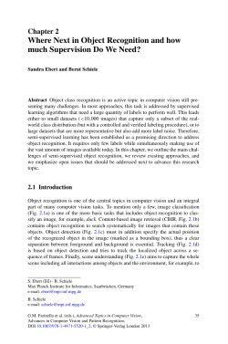 Where Next in Object Recognition and how much Supervision Do