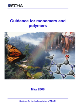 Guidance for monomers and polymers May 2008