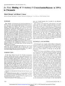 In Vitro Binding of N-Acetoxy-N-2-acetylaminofluorene in Chromatin