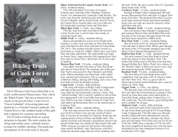 Hiking Trails of Cook Forest State Park
