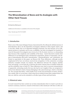 The Mineralization of Bone and Its Analogies with Other Hard Tissues