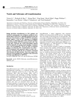 Notch and Schwann cell transformation