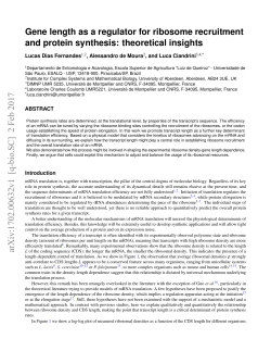 Gene length as a regulator for ribosome recruitment and protein