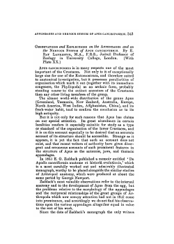 APUS CANCRIFORMIS is i - Journal of Cell Science