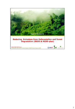 5.4. Reducing Emissions from Deforestation and forest Degradation