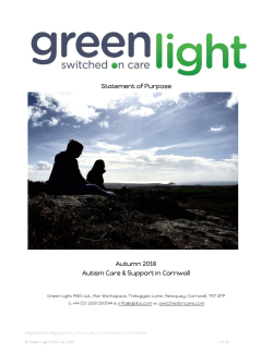 PDF - Green Light &raquo; switched on care
