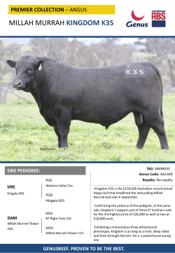 millah murrah kingdom k35