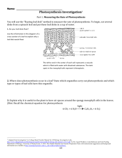 Unit 5b Packet 16-17
