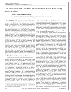 The series-elastic shock absorber: tendons attenuate muscle power