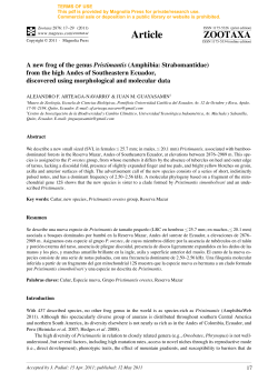 A new frog of the genus Pristimantis (Amphibia: Strabomantidae