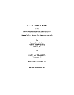 NI 43-101 Technical Report