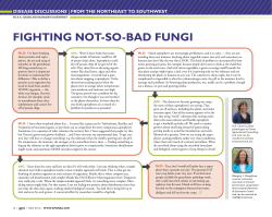 PDF: Disease Discussions - Greenhouse Product News