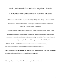 An Experimental-Theoretical Analysis of Protein Adsorption on