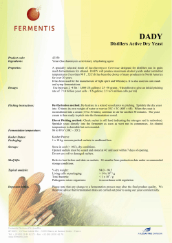 Distillers Active Dry Yeast