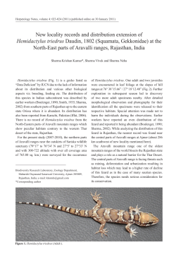 Hemidactylus triedrus