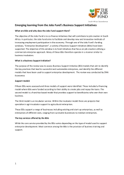 Emerging learning from the Jobs Fund`s Business Support Initiatives
