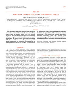 review structure and function of the vomeronasal organ