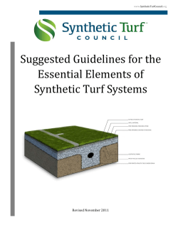 NEW_STC Guidelines_Essential Elements 11-11
