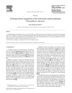 Tracking historic migrations of the Irish potato famine pathogen