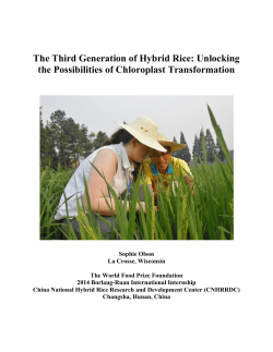 Sophie Olson - The World Food Prize