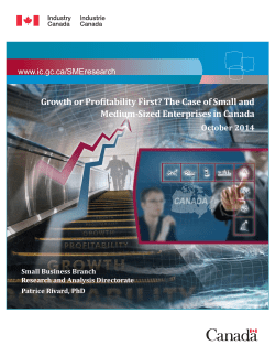 The Case of Small and Medium-Sized Enterprises in Canada