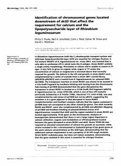 ldentif ication of chromosomal genes located