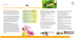 Improving and Protecting Honey Bee Health