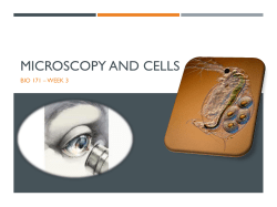MICROSCOPY AND CELLS