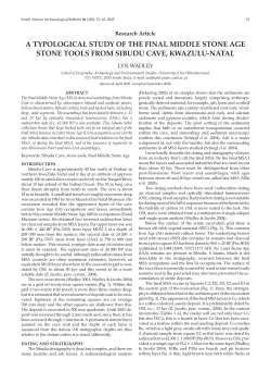 a typological study of the final middle stone age stone tools