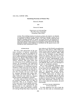 Socializing Functions of Primate Play