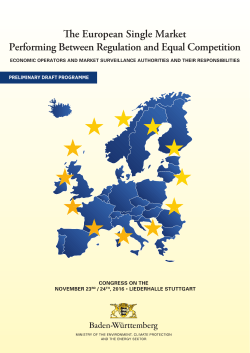 e European Single Market Performing Between Regulation and