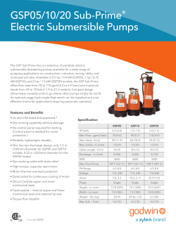 GSP05/10/20 Sub-Prime&reg; Electric Submersible Pumps