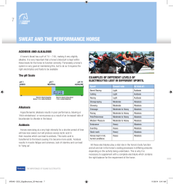 7 SWEAT AND THE PERFORMANCE HORSE