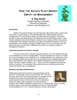 How the Alfalfa Plant Grows: Impact on Management