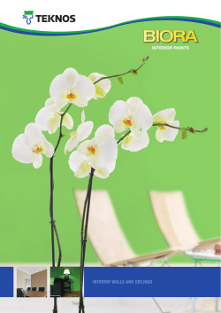 interior walls and ceilings