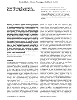 Temporal envelope processing in the human left and right auditory