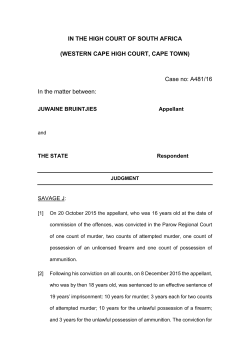 S v Bruintjies