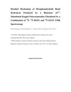 Detailed Mechanism of Phosphoanhydride Bond Hydrolysis