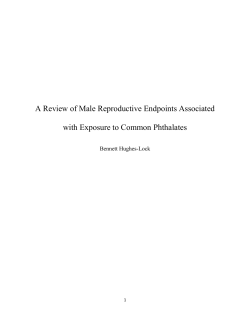 A Review of Male Reproductive Endpoints Associated with