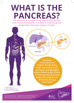 Enzymes in the pancreas help to break down food. Hormones such