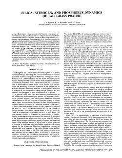 silica, nitrogen, and phosphorus dynamics of tallgrass prairie