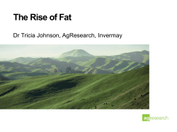 The Rise of Fat