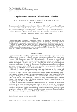 Cryphonectria canker on Tibouchina in Colombia - FABI